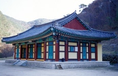 doopedia 고운사