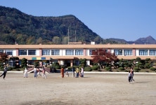 doopedia 두피디아