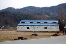doopedia 두피디아