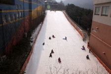 doopedia 두피디아