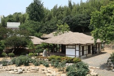 doopedia 두피디아