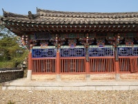 doopedia 두피디아