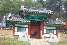 doopedia 두피디아