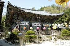 doopedia 두피디아