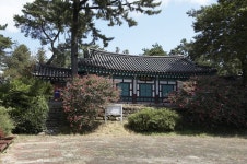 doopedia 두피디아