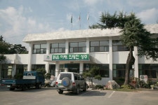 doopedia 수륜면