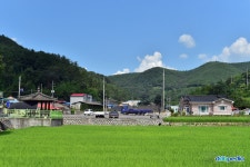 doopedia 오소마을 | 두산 백과사전 doopedia