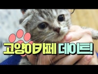 윰댕 일상] 도쿄팡야 빵집 데이트ㅎㅎ - DragTimes.com 윰댕 일상] 도쿄팡야 빵집 데이트ㅎㅎ Racing Video