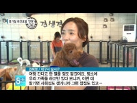 애견호텔, 펫호텔, ThePetHotelM 을 소개합니다. - DragTimes.com 애견호텔, 펫호텔, ThePetHotelM 을 소개합니다. Racing Video