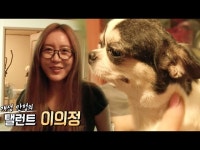 이의정, 혹사당한 와와 밤새 다독여 “여긴 괜찮아” @TV 동물농장 20160724 - DragTimes.com 이의정, 혹사당한 와와 밤새 다독여... 