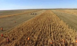 South Dakota Pheasant Hunt 2017 – Drone Video | Dronestagram