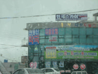 맨정신약국 - 스키 사랑방 - 닥터스파크