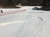 2016-02-20(토) 스타힐 D코스 모글과 3-Girl's Skiing - 스키 갤러리 - 닥터스파크