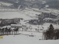 2013-01-19(토) 이촌 쉼터 - 용평행 / 2013-01-20(일) 알펜시아 - 사진 갤러리 - 닥터스파크