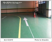 인라인장 - 자유 갤러리 - 닥터스파크