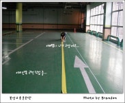 인라인장 - 자유 갤러리 - 닥터스파크