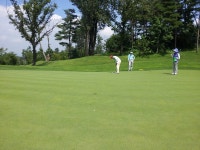 휘닉스스프링스CC - 자유 갤러리 - 닥터스파크