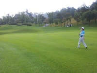 휘닉스스프링스CC - 자유 갤러리 - 닥터스파크