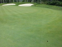 헤슬리나인브리지 - 자유 갤러리 - 닥터스파크