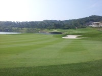 헤슬리나인브리지 - 자유 갤러리 - 닥터스파크