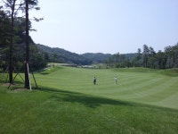 헤슬리나인브리지 - 자유 갤러리 - 닥터스파크