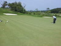 헤슬리나인브리지 - 자유 갤러리 - 닥터스파크