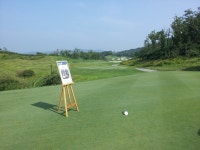 헤슬리나인브리지 - 자유 갤러리 - 닥터스파크