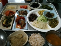 완도 여행 - 3: 금일읍에서 조약도, 신지도를 거쳐 완도로... - 자유 갤러리 - 닥터스파크