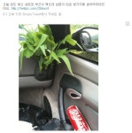 완도 여행 - 3: 금일읍에서 조약도, 신지도를 거쳐 완도로... - 자유 갤러리 - 닥터스파크