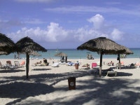 학원소식 :: 디스쿨