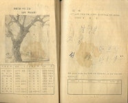 고장 생활일기 (1950년대) | 문화교육출판사 | 알라딘 [중고] 경북 문경 농암면 선곡리 폐교된 ‘선암초등학교‘ 학생일기 -- 경상북도 고장... 