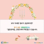 결혼중개업 > 운영 및 고객관리 > 운영 일반원칙 > 국내·국제결혼중개업 공통사항 (카드뉴스) | 찾기쉬운 생활법령정보