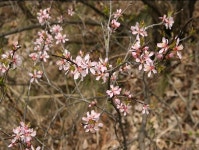 환경산업기술원- 메리츠종금증권, 전략적 업무협약 체결 환경산업기술원- 메리츠종금증권, 전략적 업무협약  체결