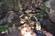 제주도 환상숲을 아시나요