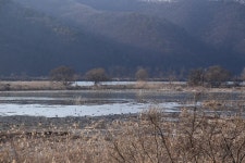 ＂철새는 날아가고＂…발길 끊긴 ′경안천 생태습지공원′