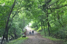국립자연휴양림, 가정의 달 5월 기념...고객 감사 이벤트 국립자연휴양림, 가정의 달  5월 기념...고객 감사 이벤트
