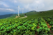 [포토] 매봉산 ′바람의 언덕′