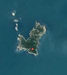 충남 보령시 오천면 산불 발생