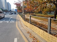 제설제 피해, 가로수 띠녹지에 볏짚 차단막 설치해 최소화 가능