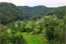 [포토] 6월의 녹음 속 양떼 목장