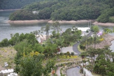 [포토] 6월의 녹음 속 양떼 목장