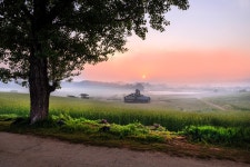 안성 목장의 아침