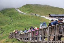 [르포] 백두산 천지의 운해와 야생화