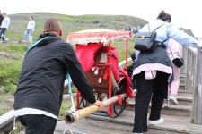 [르포] 백두산 천지의 운해와 야생화