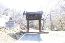 2025 봄 야생화: 동강할미꽃, 금몽암 노루귀, 화야산 얼레지, 보라빛 깽깽이꼿 2025  봄 야생화: 동강할미꽃, 금몽암 노루귀, 화야산 얼레지... 