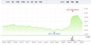 블라인드 | 신성통상 뉴스