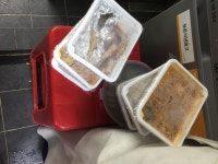 활동내역 활동현장소개 상세 | 현대백화점 사회공헌