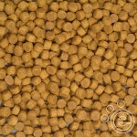 NEW 사이언스 어덜트15kg - 사는 게 즐겁다! 롯데닷컴