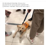 롯데부분경정비업소 | 익명의 롯데쇼핑 직원 반박글, 거짓으로 드러나 | 보배드림 베스트글