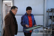 분류별사진 - 사진DB